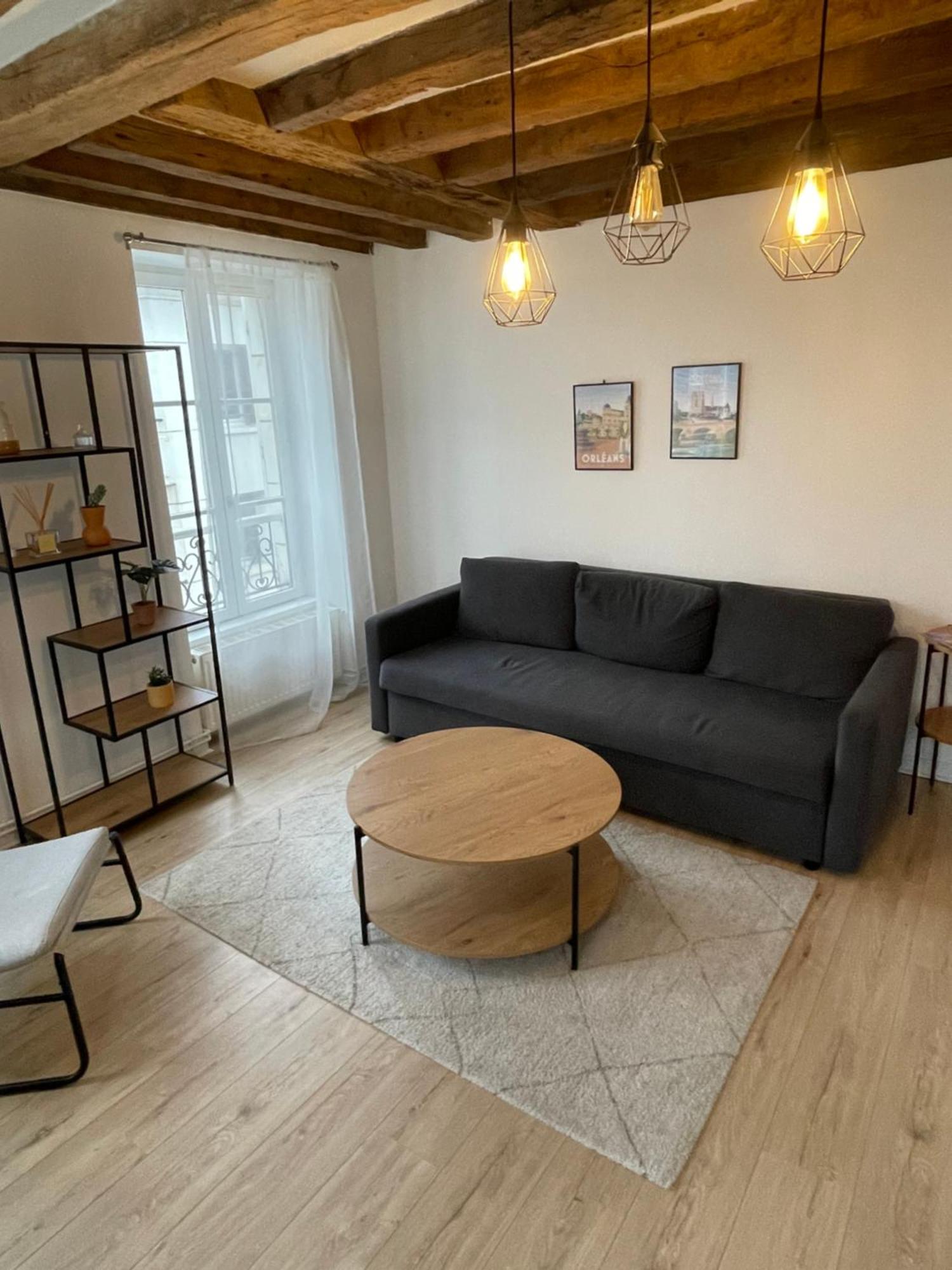 Charmant Appartement Orleans ! Екстериор снимка
